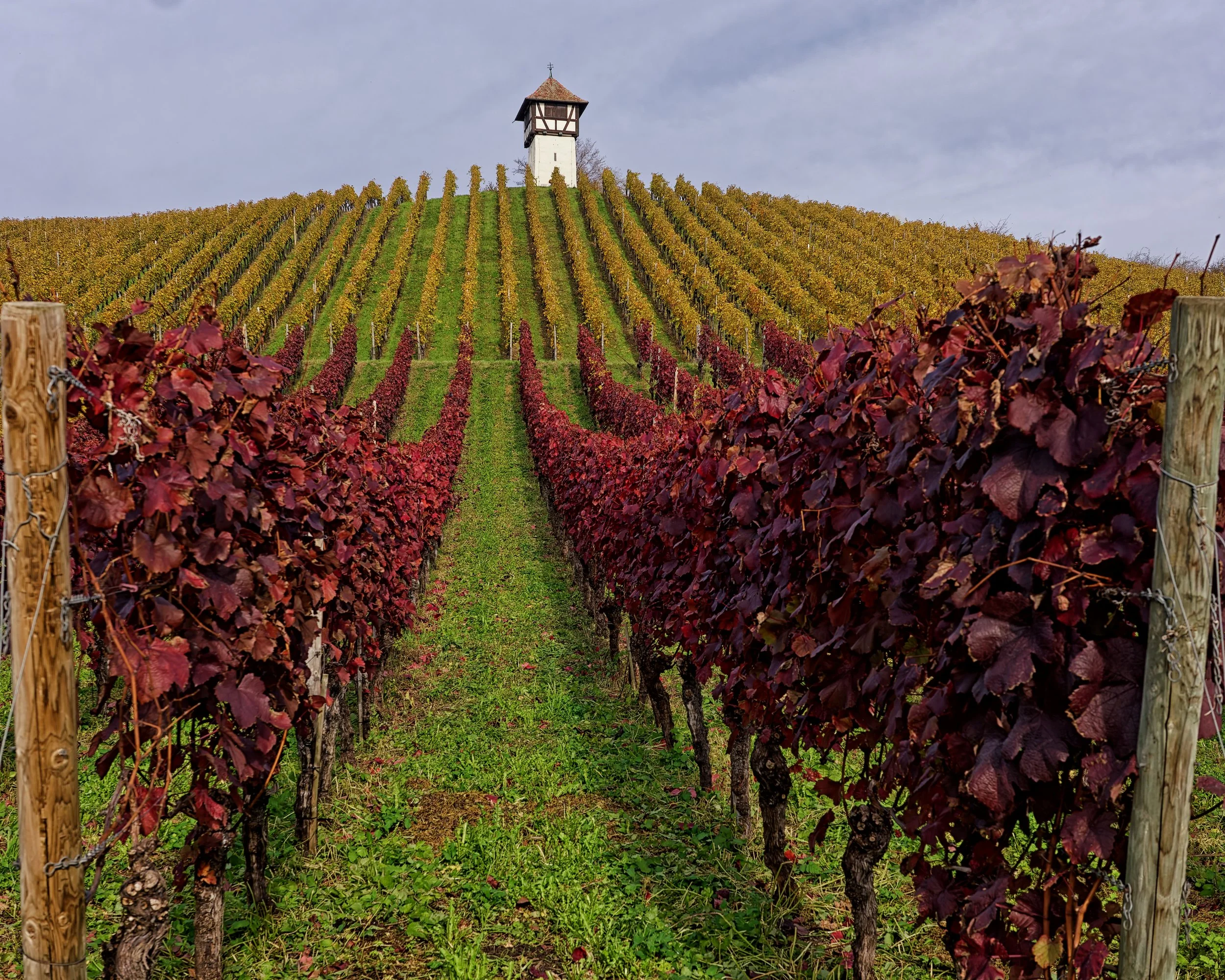 GR001997_Dxo small.jpg