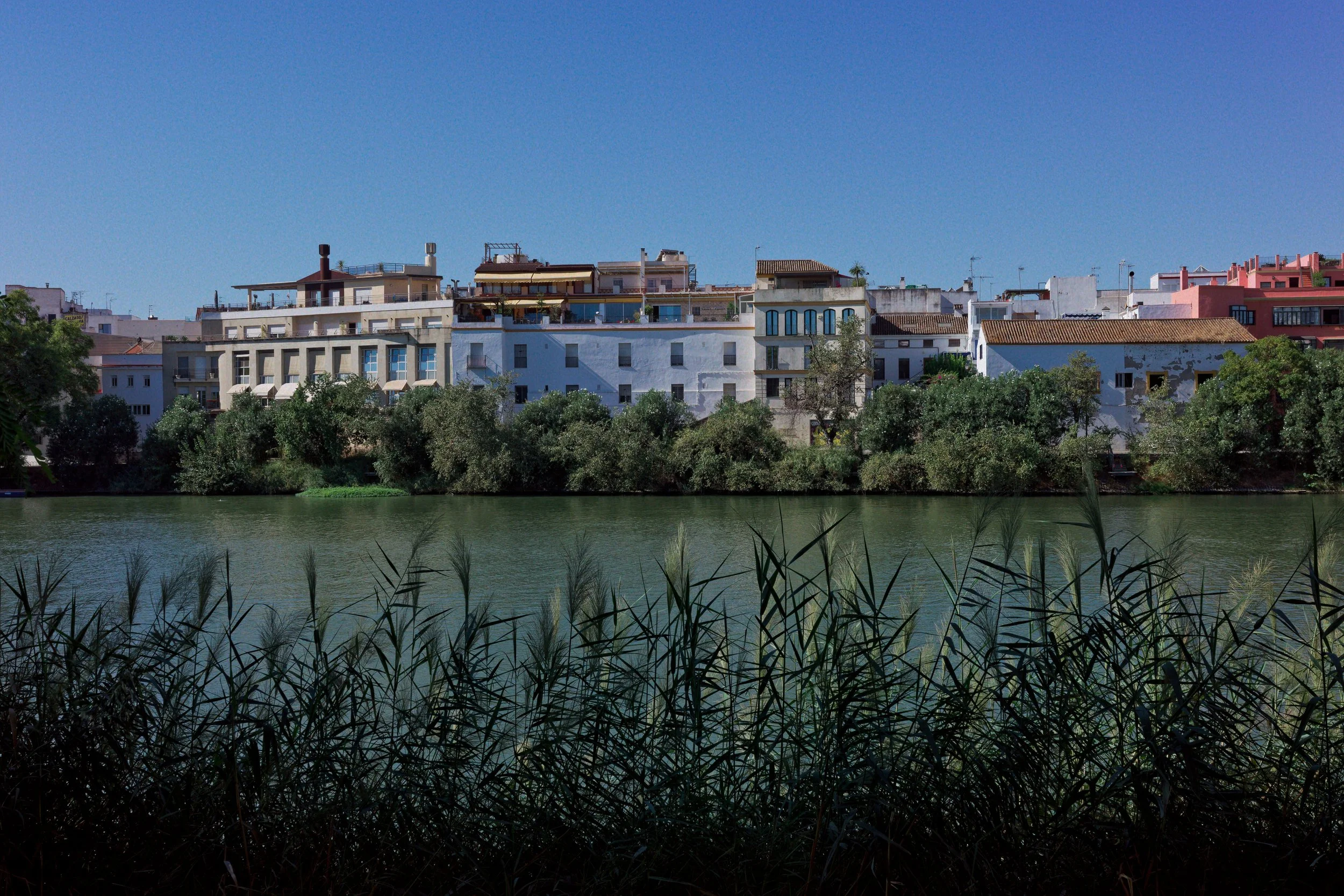 GR000235_DxOsmall.jpg