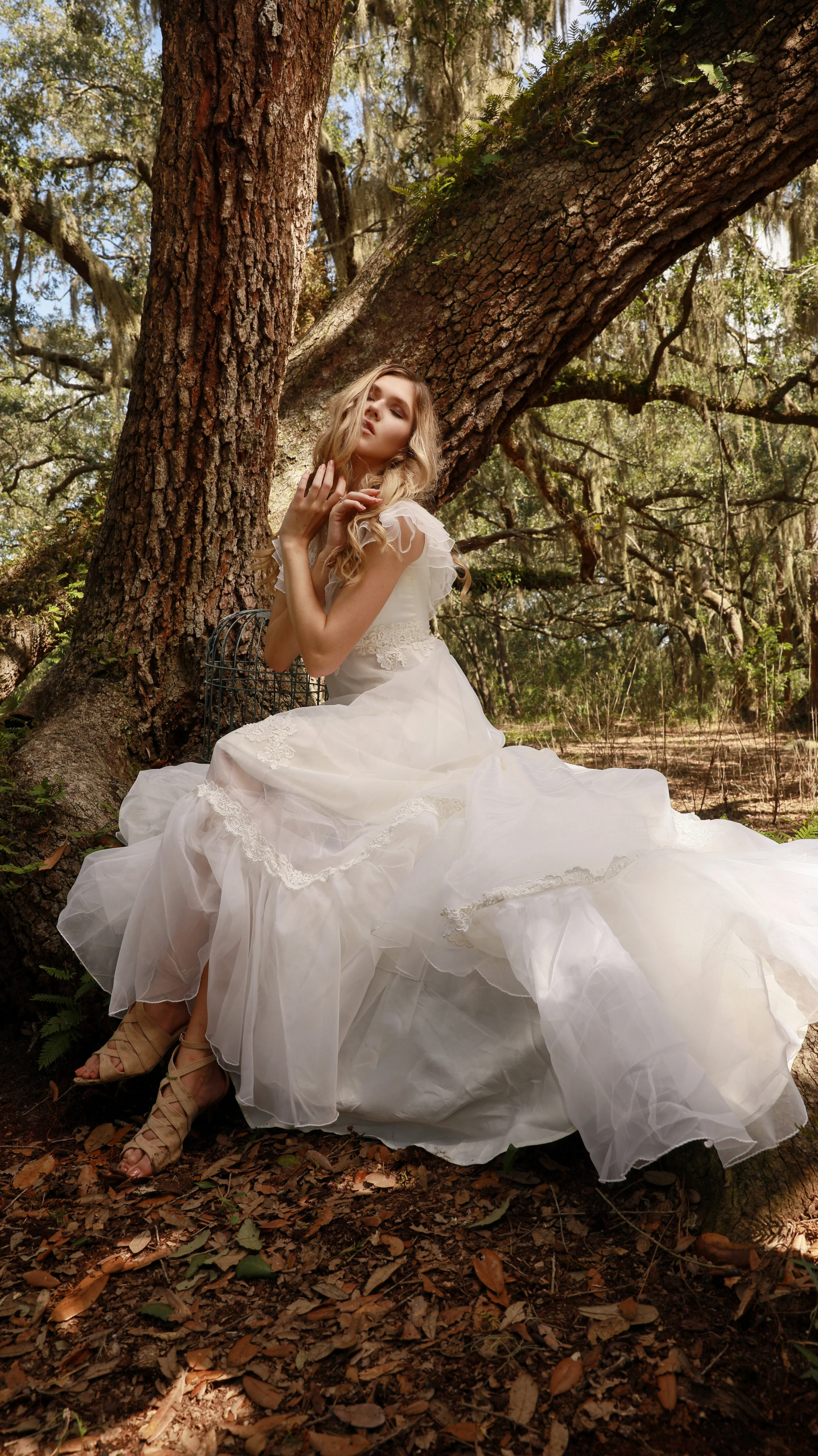 Orlando Florida Wedding Photographer, Commercial Wedding, Editorial Wedding, Forest Wedding