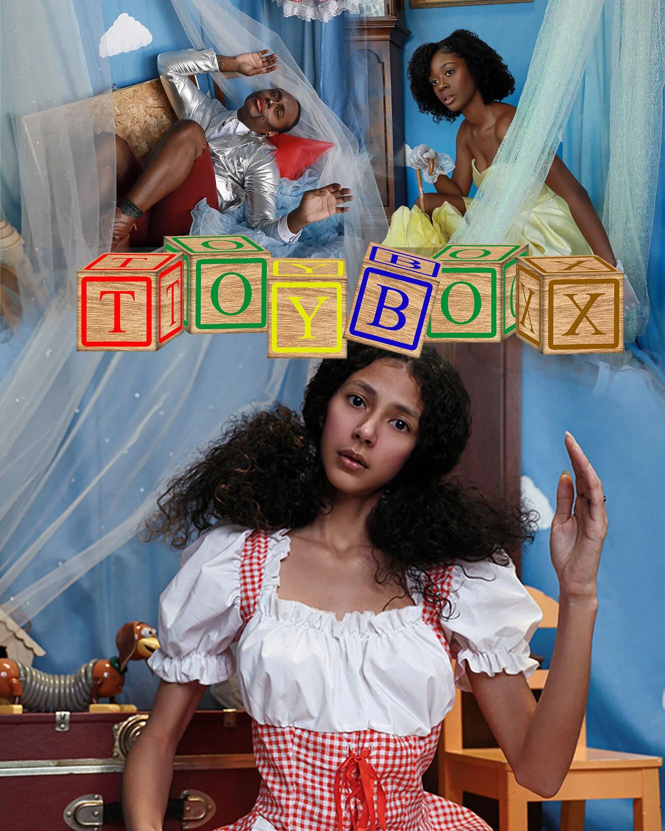 Toy Box Cover.jpg
