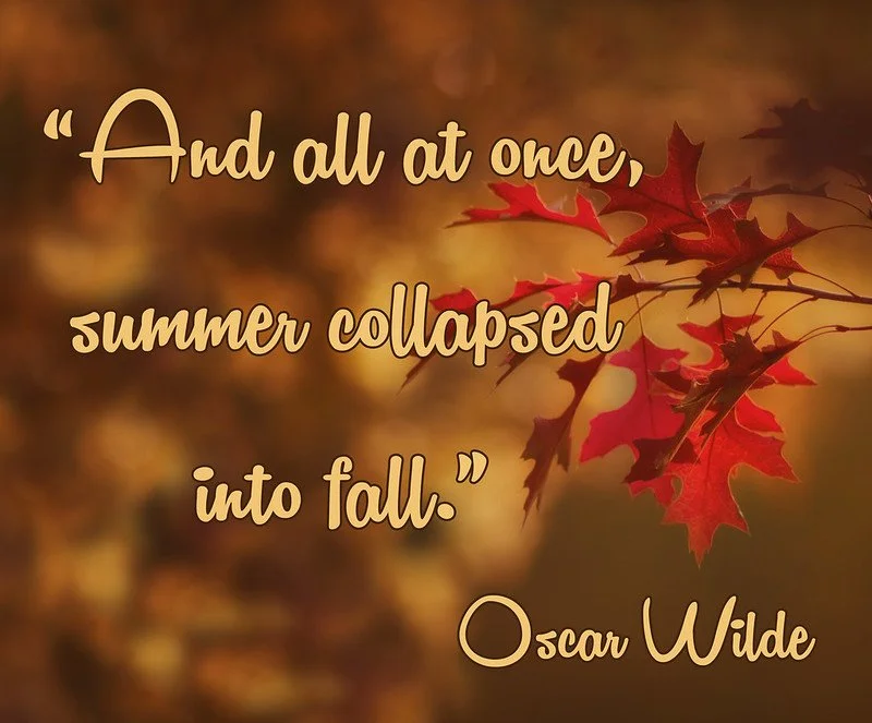 🍁🍂🍁