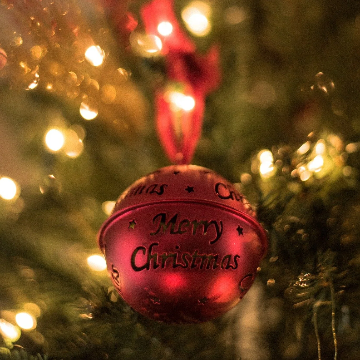 Merry Christmas!!!🎄🎀🎄🎁