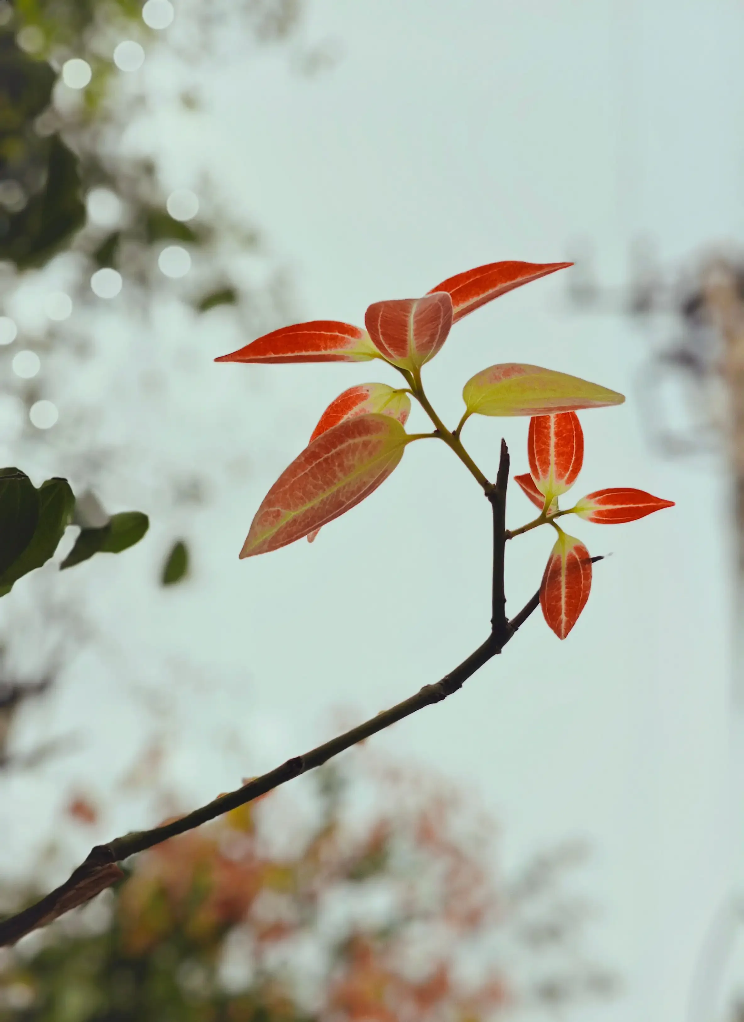 Why We Each Heal Differently from Trauma