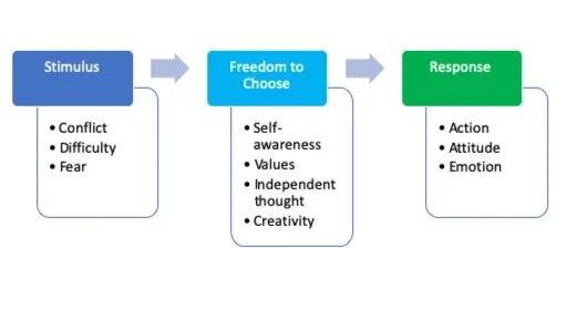 Stimulus+Response.jpg