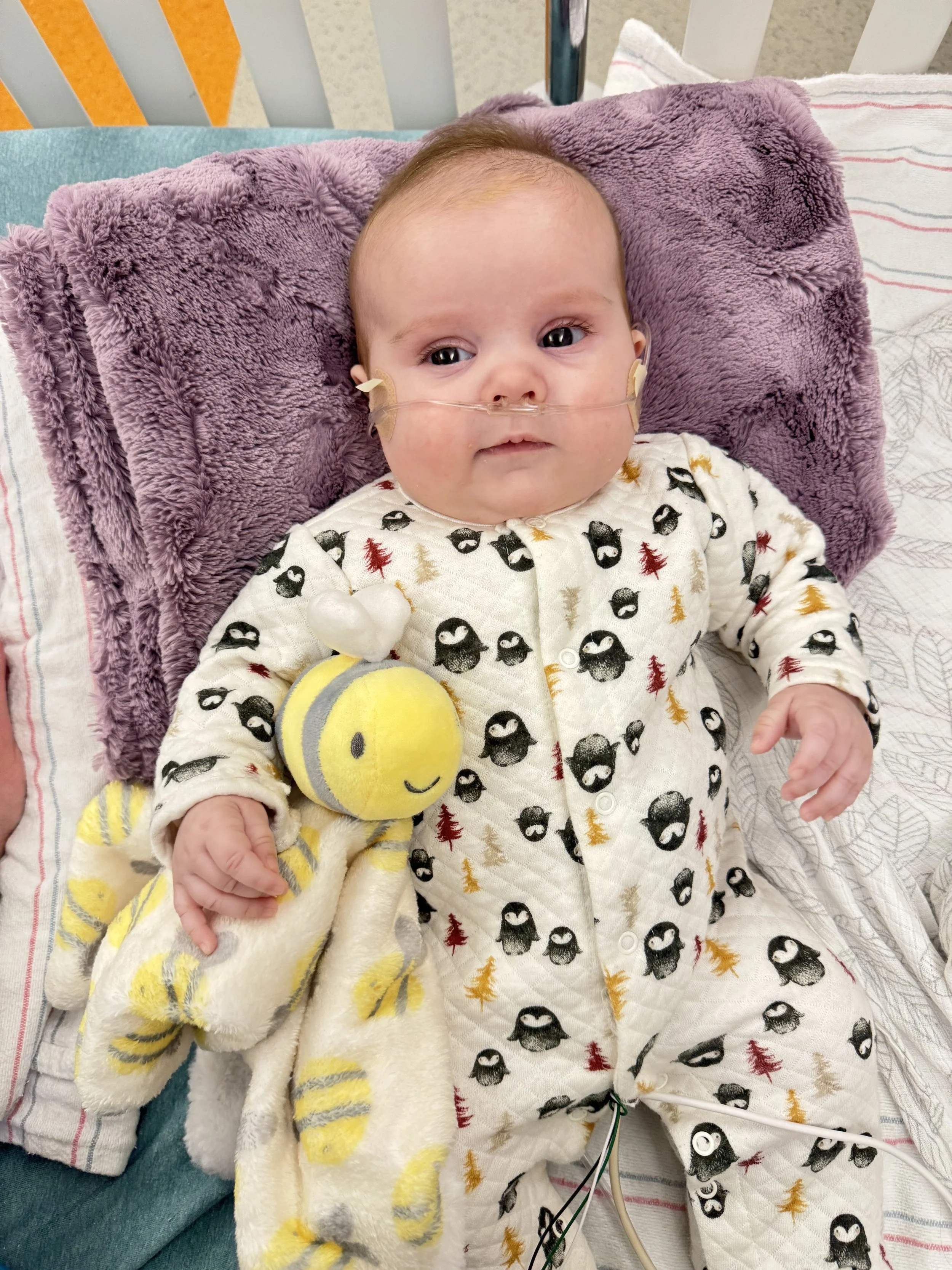 Lyla B. LCDH ECMO 2.jpeg