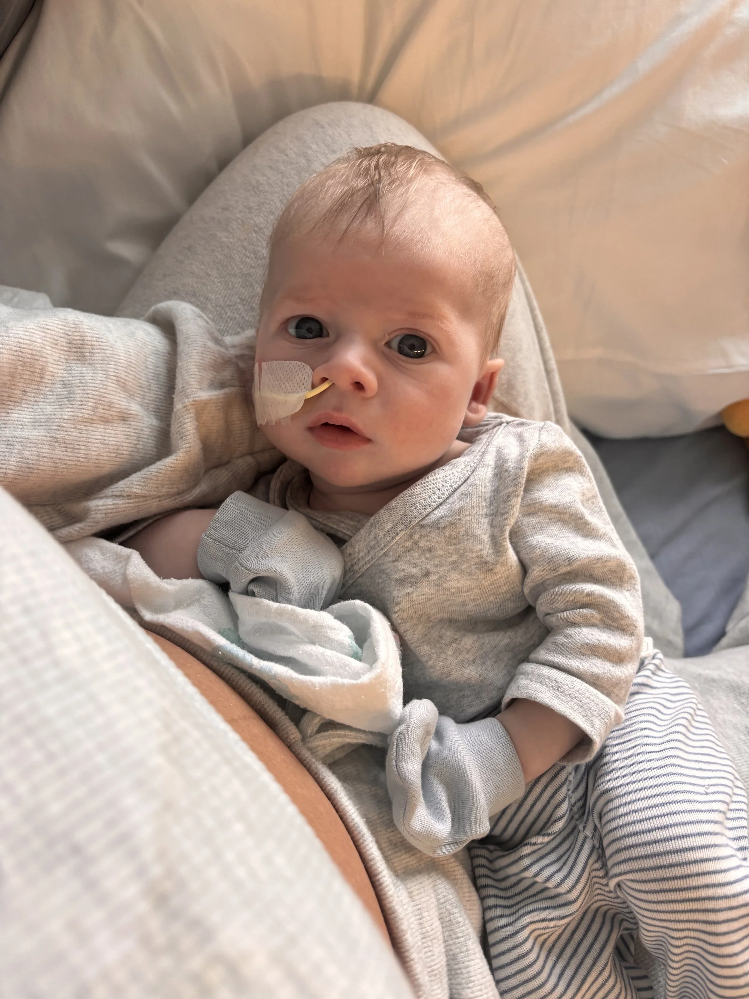 Noah Bell (2).jpeg