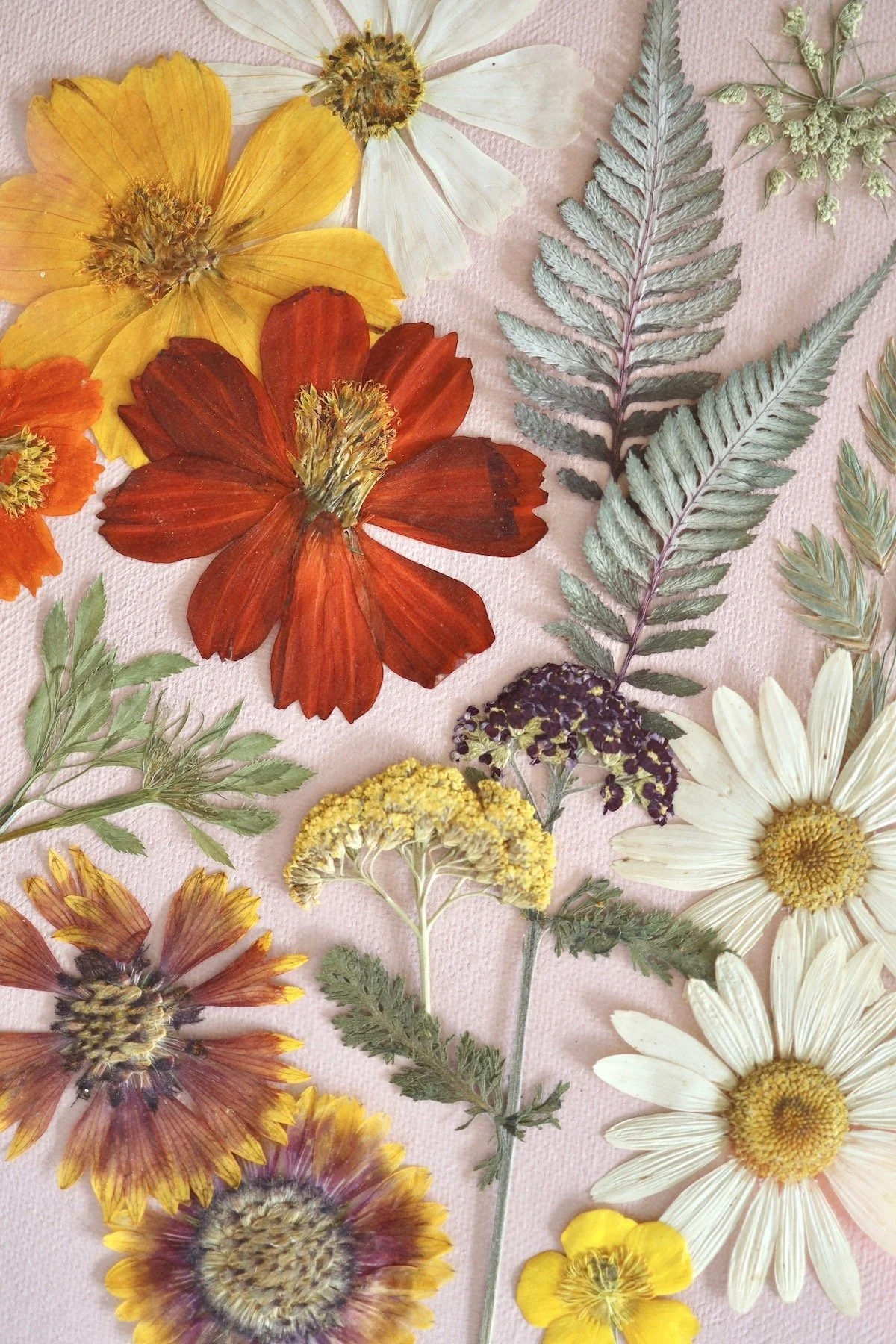 Foraging Wildflowers For Pressing — Flowerly Framed