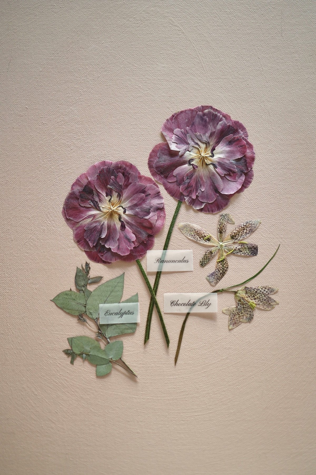 flowerly framed florals pressed flowers bouquet wedding preservation bridal ranunculus.jpg