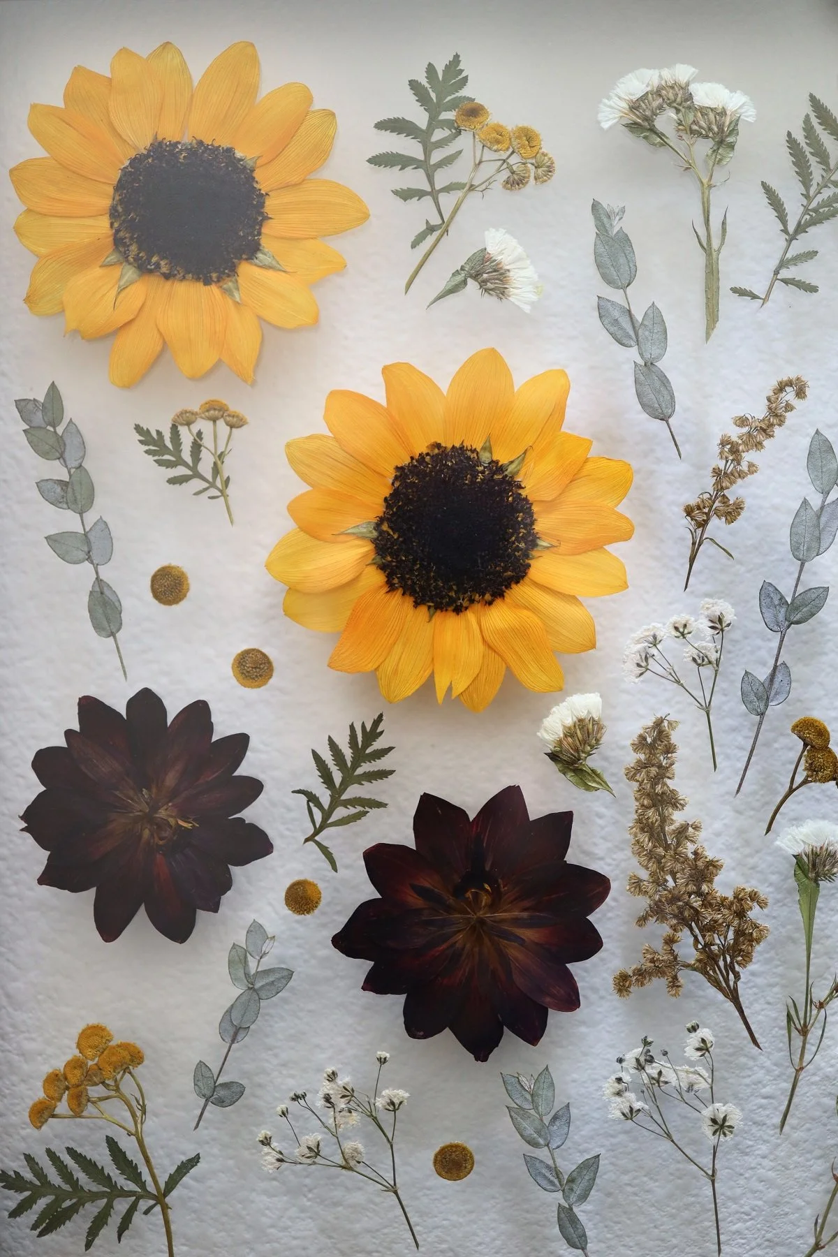 flowerly framed sunflowers floral preservation pressed wedding blooms bridal bouquet preserved flowers.jpg
