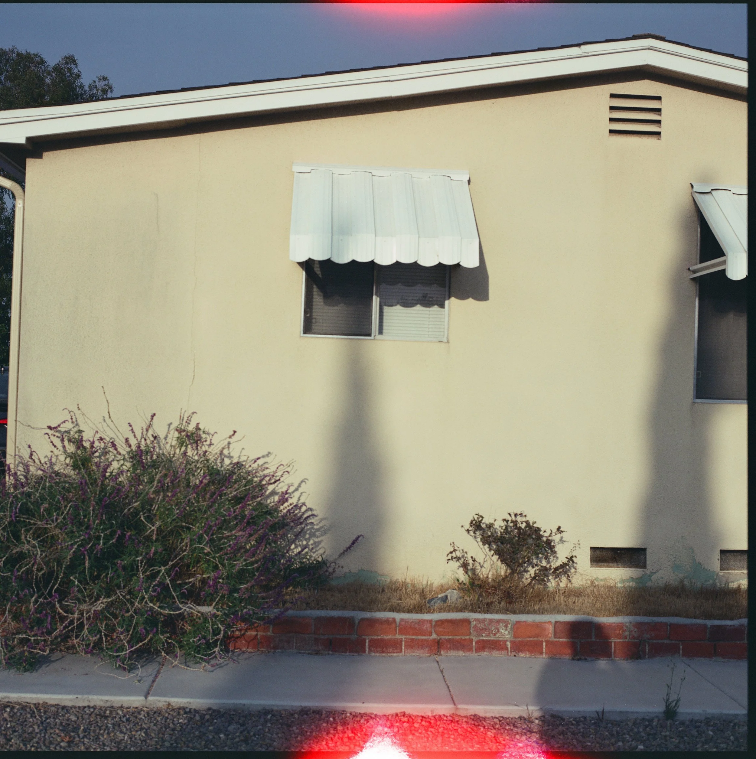 American Front Yards-000042690006.jpg