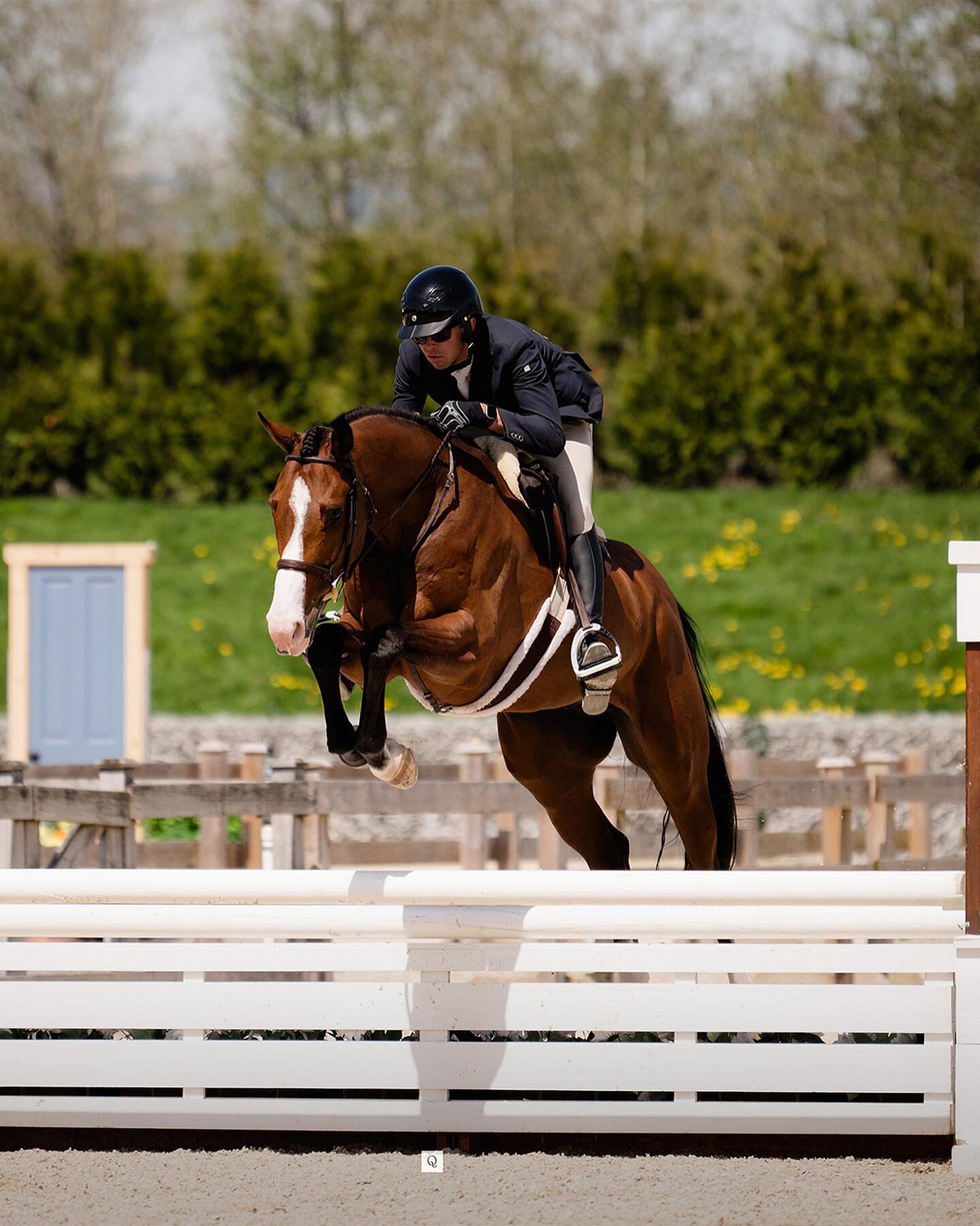 Hunterland with Cascallo ⭐️ 

#TeamSpruceMeadows #thunderbirdshowpark #50yearstbird #horseshowphotography