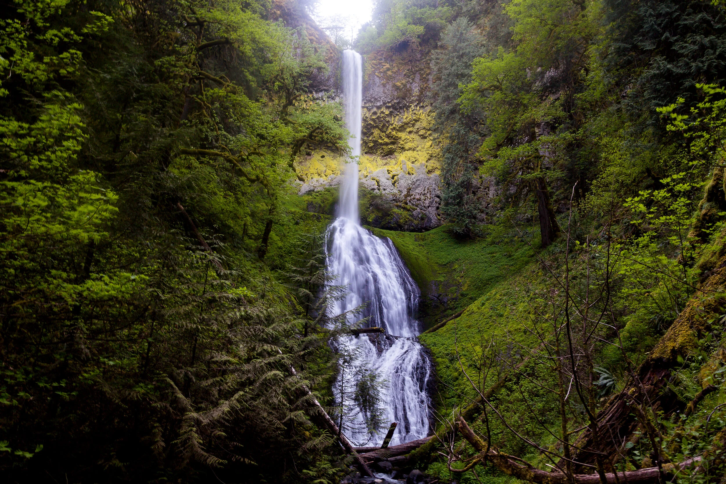 011 - Pup Creek Falls - IMG_0898.jpg