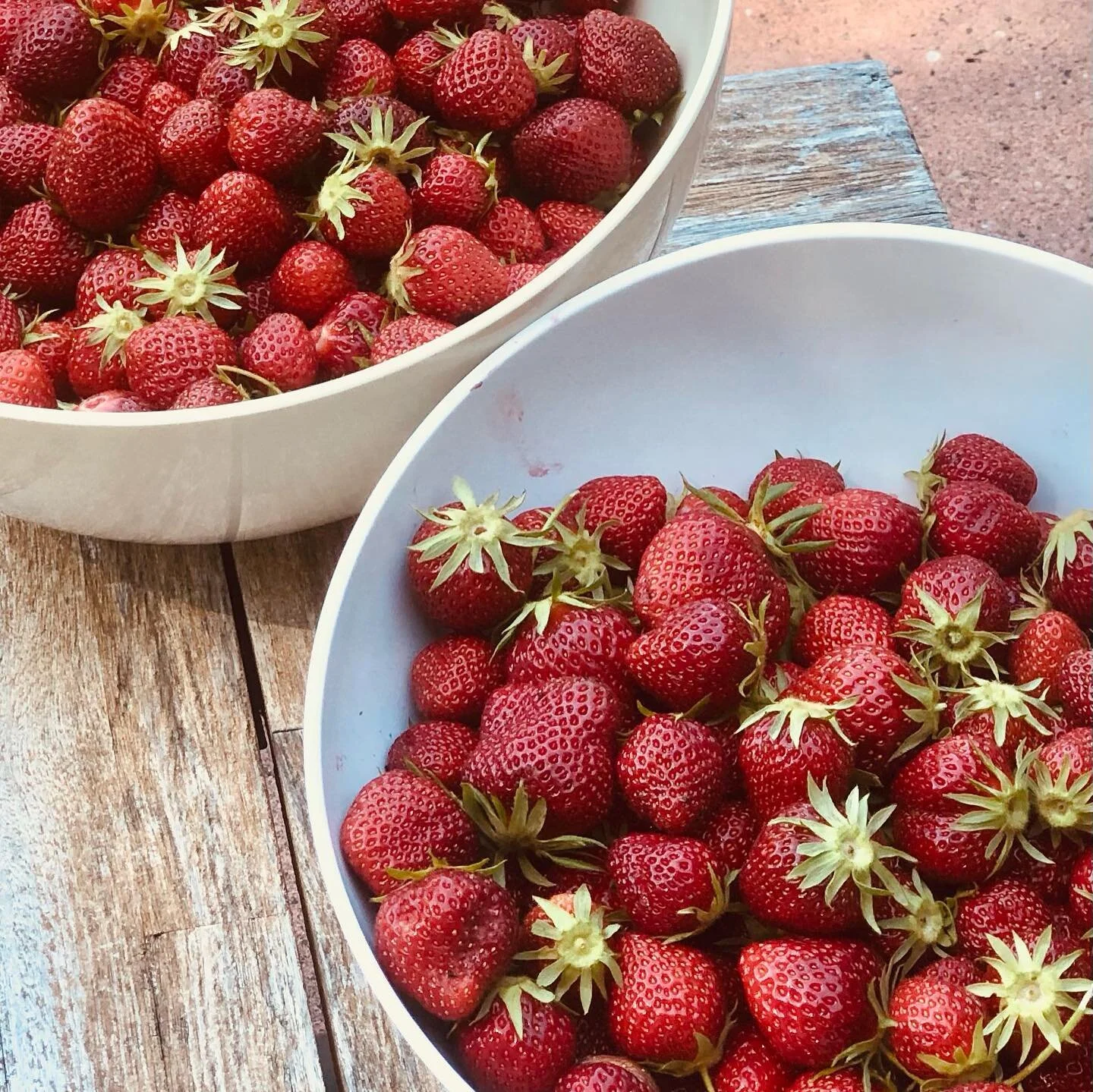 Just having my morning coffee and keeping an eye on Mom&rsquo;s strawberries.