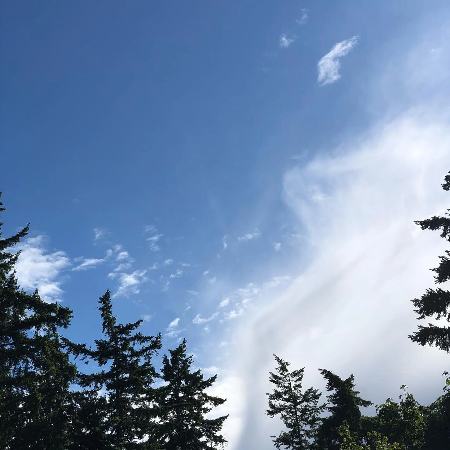 Whidbey Island color and light