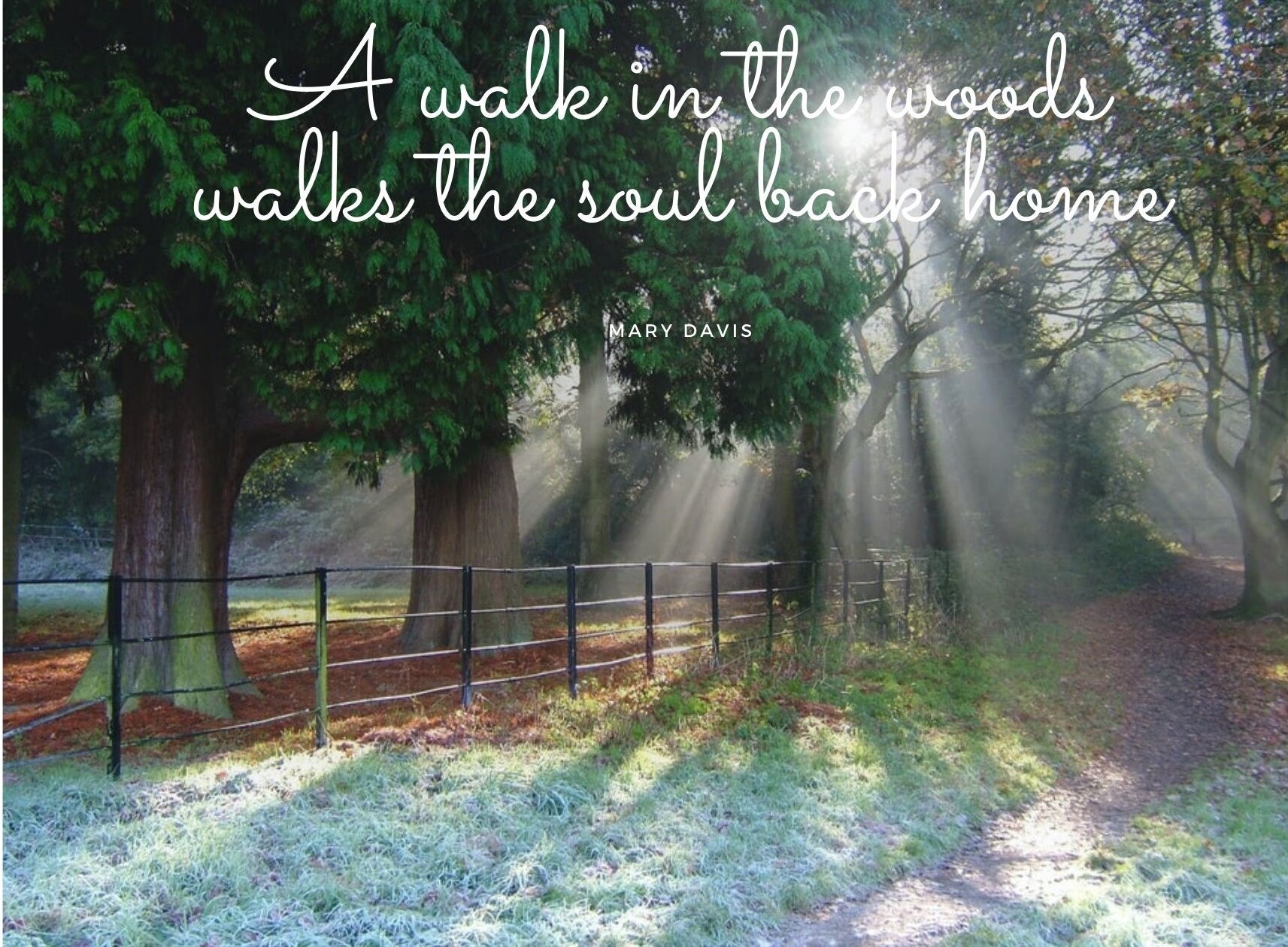 A walk in the woods, walks the soul back home. Quote by Mary Davis