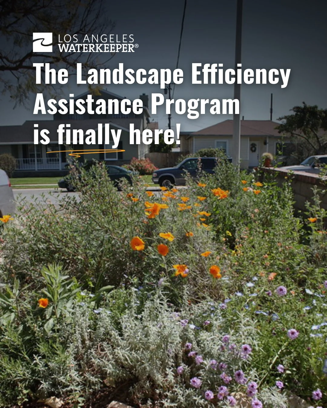 @ladwp1 has launched LEAP, their long-awaited direct install turf replacement program! 🙌⁠
⁠
Eligible households can now get professional, no-cost installation of drought-tolerant landscaping, drip irrigation, rain capture features, efficient sprinkl