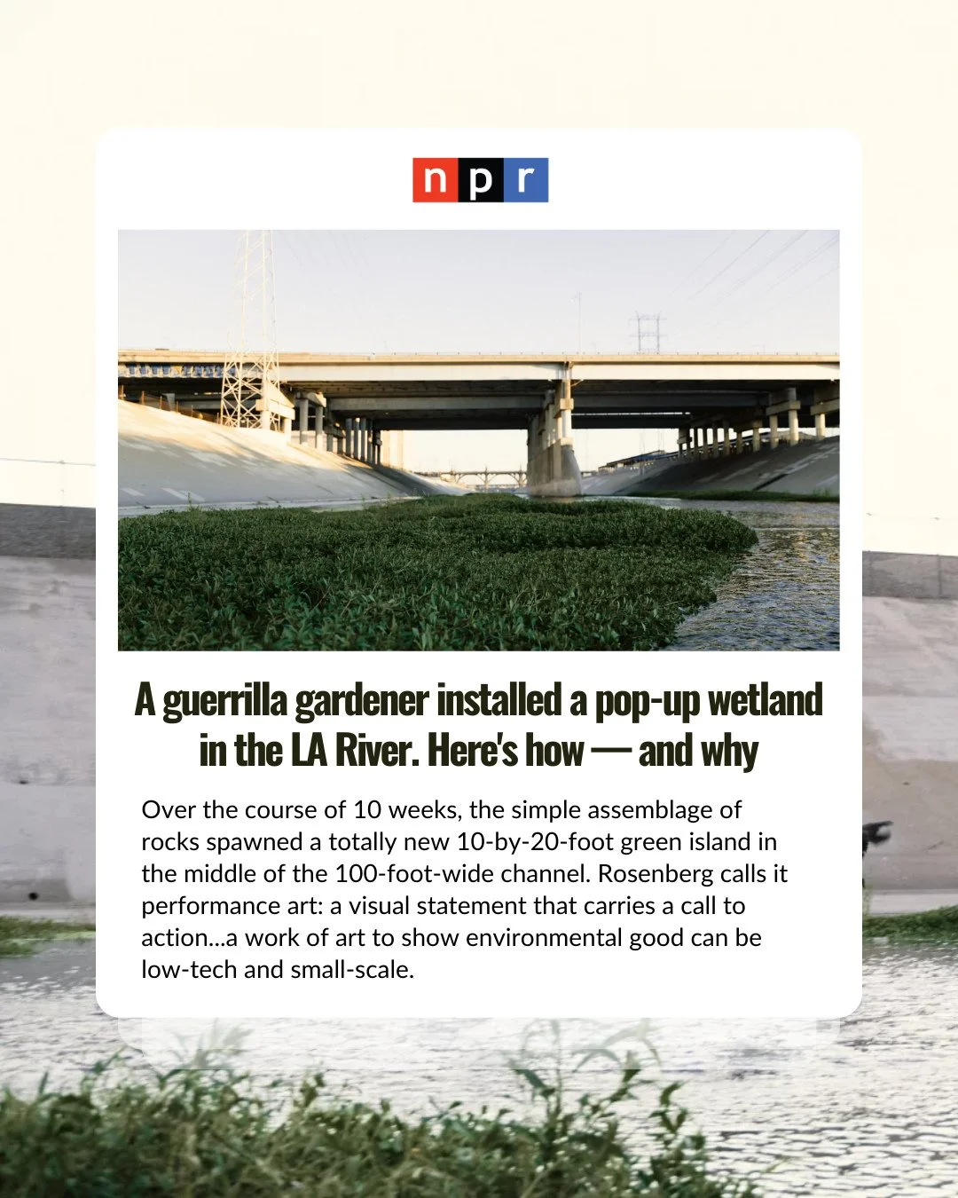 UPDATE 12/17/25: An earlier version of this post shared this story without important additional context. While we appreciate the conversation and imagination this effort sparked, LA Waterkeeper wants to be clear about our values. Restoration in the L