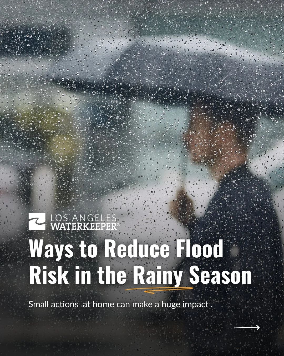 Storm season&rsquo;s here. 🌧️⁠
⁠
Small steps at home (yes, even picking up leaves before a storm) help reduce flooding, keep pollution out of our rivers, and save water for the next dry spell.⁠
⁠
Swipe to see five simple actions that actually make a