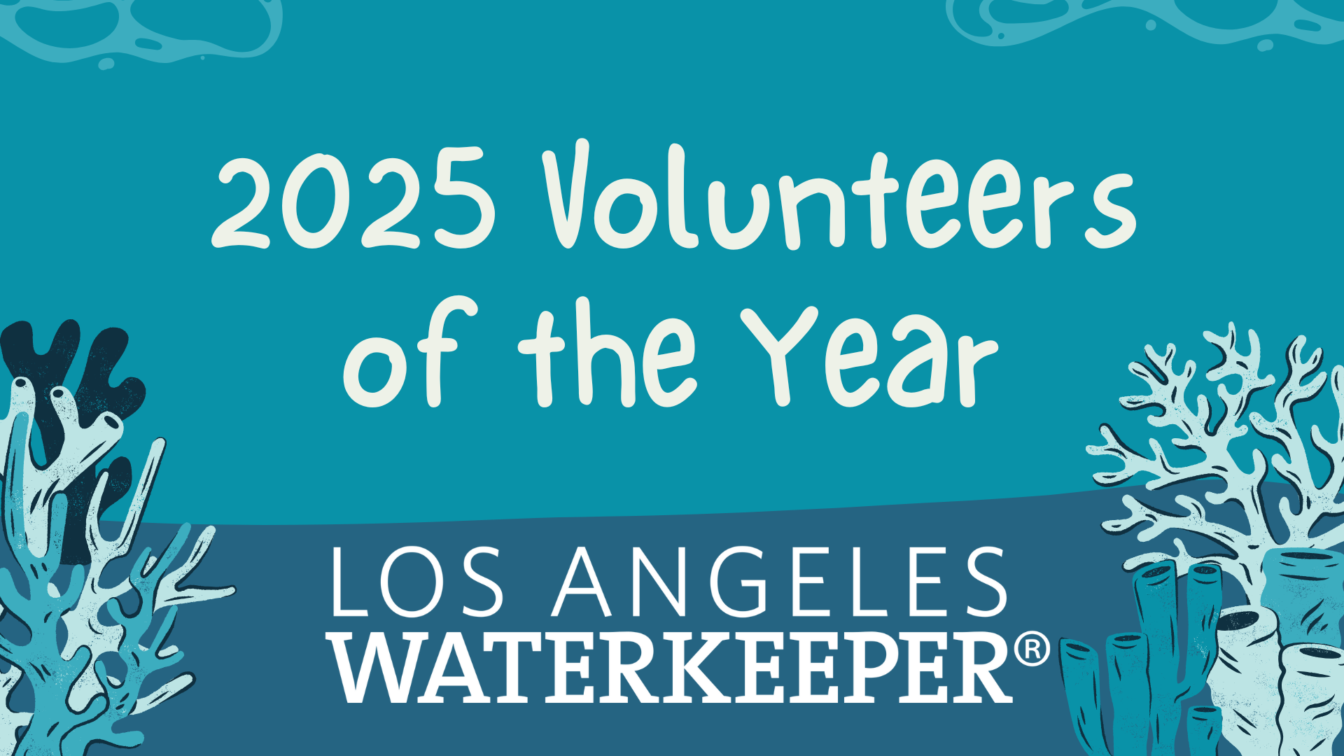 Celebrating Our 2025 Cleanup Volunteers: Spotlight on Nicholas Golowko