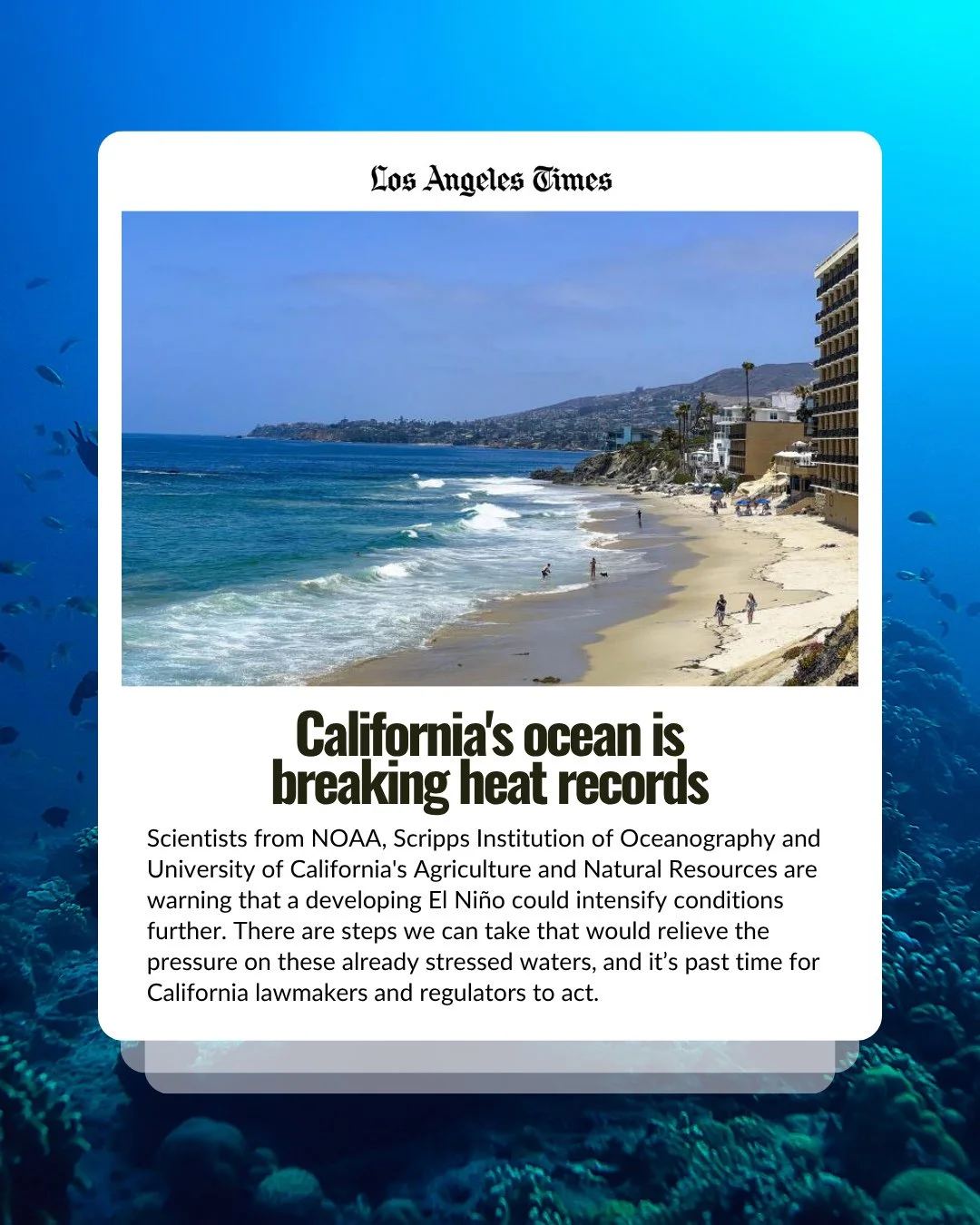 The ocean off Southern California is overheating. 🌡️⁠
⁠
At the Scripps Pier, water temperatures recently hit 68.5&deg;F. That's nearly 8 degrees above average.⁠
⁠
A developing El Ni&ntilde;o could push temperatures even higher. And as waters warm, t