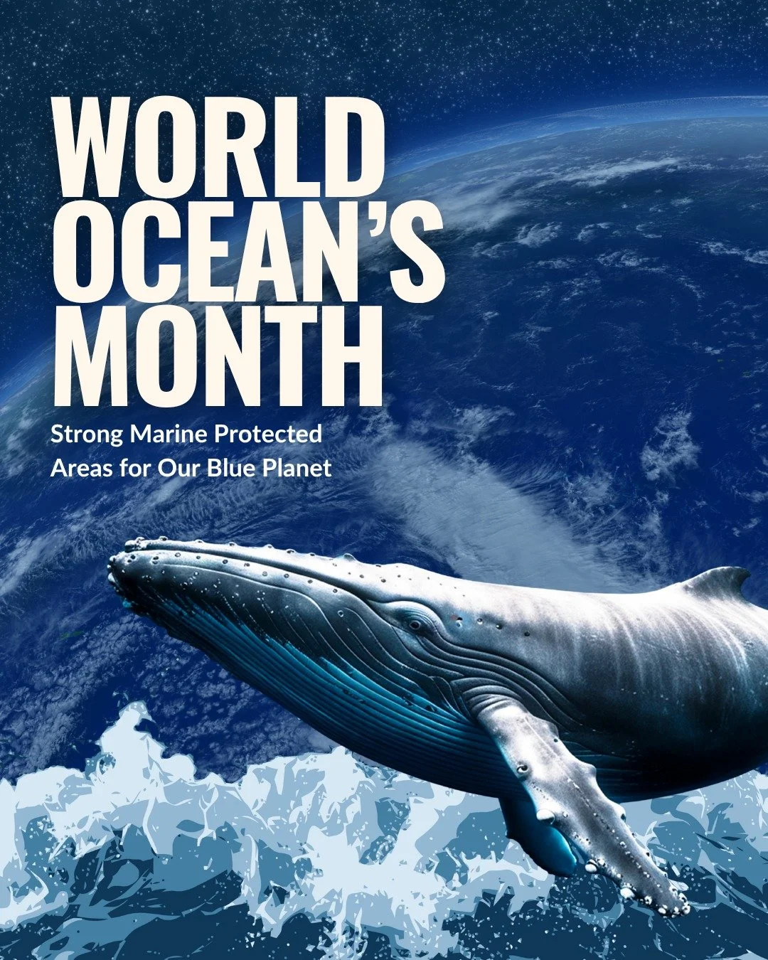 The ocean is home to 80% of life on Earth. 🌊

Off the coast of Southern California alone, more than 1,700 coastal marine species depend on these waters to survive, move, and thrive. Swipe to meet a few of them. ➡️

This World Ocean's Month puts the 