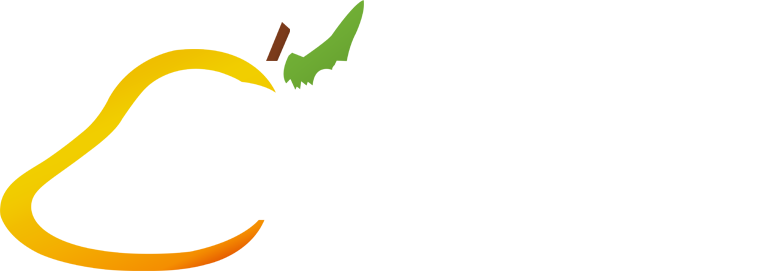 Curry Mango