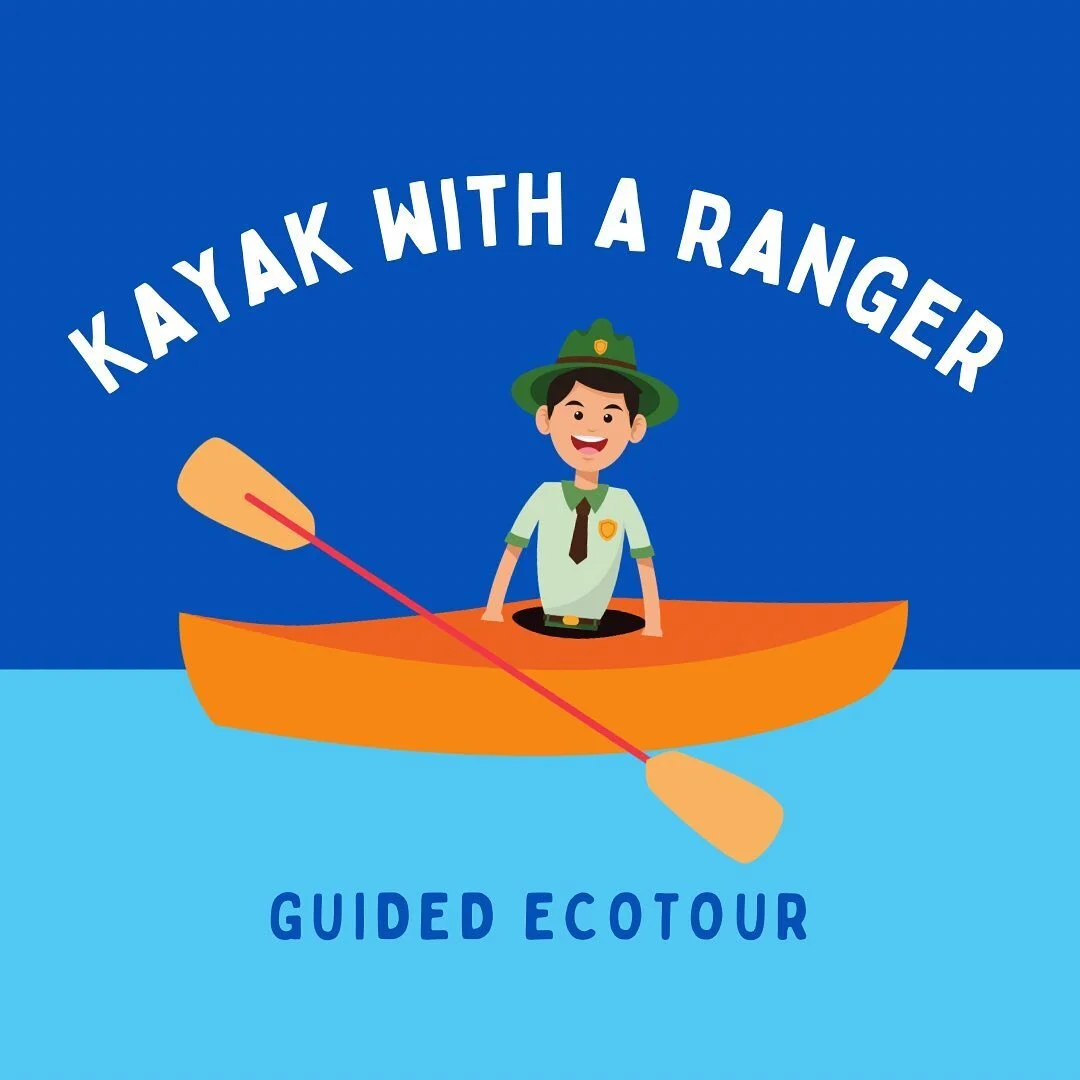 Salty Dog Kayak Rentals