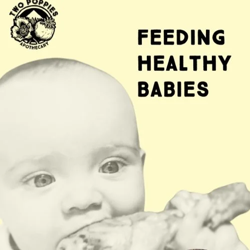 FEEDING+HEALTHY+BABIES.jpg