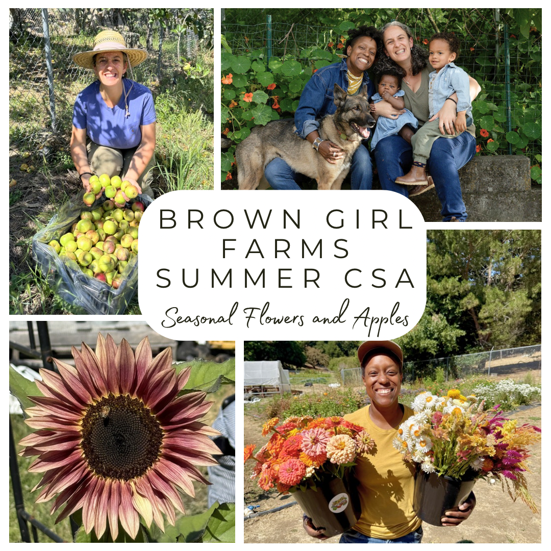 Summer Flower CSA.png