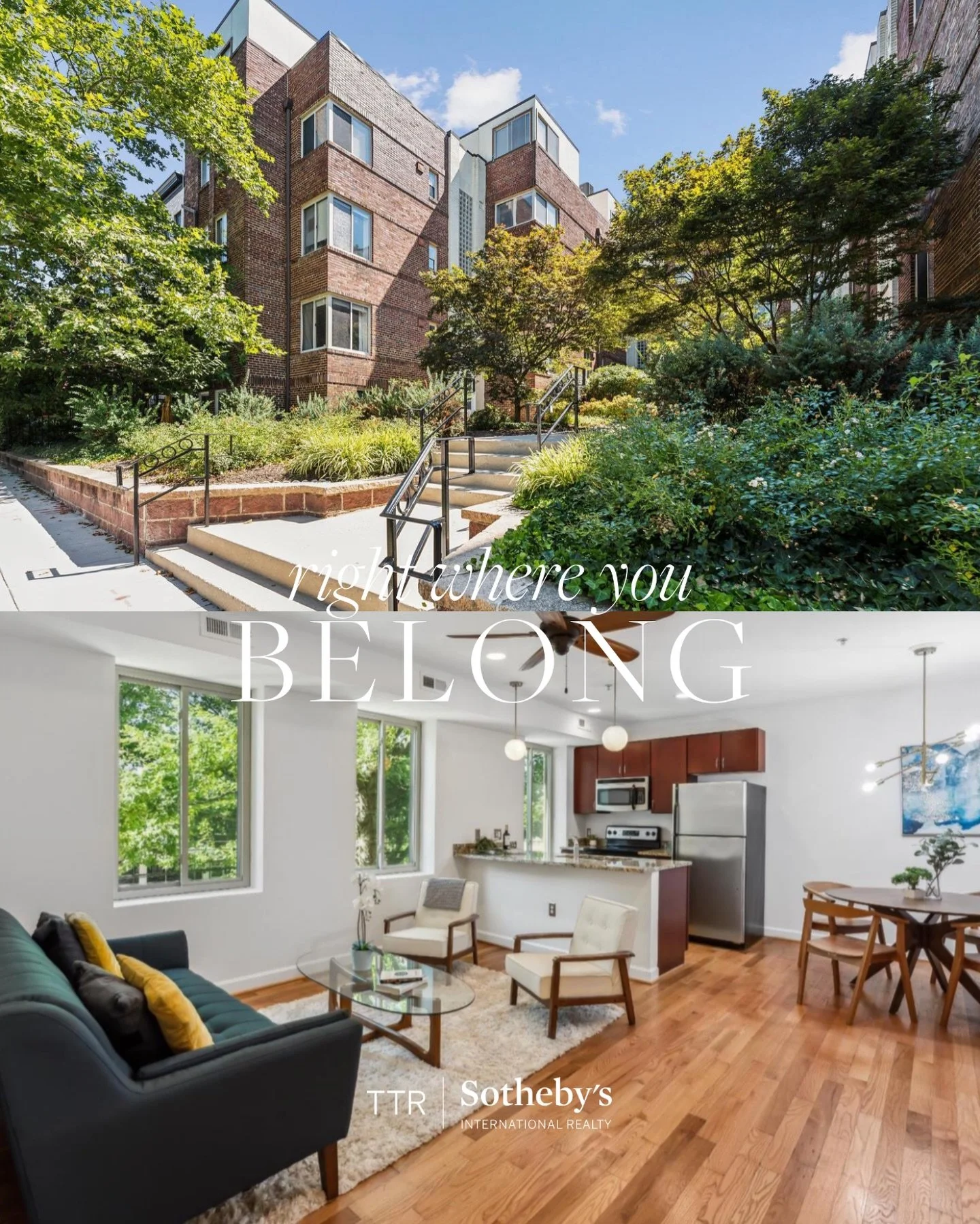 Brick walls. 🧱Sunlight. ☀️ City life. 🏢

Step into this Brightwood Park gem, a stylish 1-bedroom that perfectly blends classic DC charm with modern updates. Think exposed brick, sun-drenched southern exposure, and an open layout that just works.

A