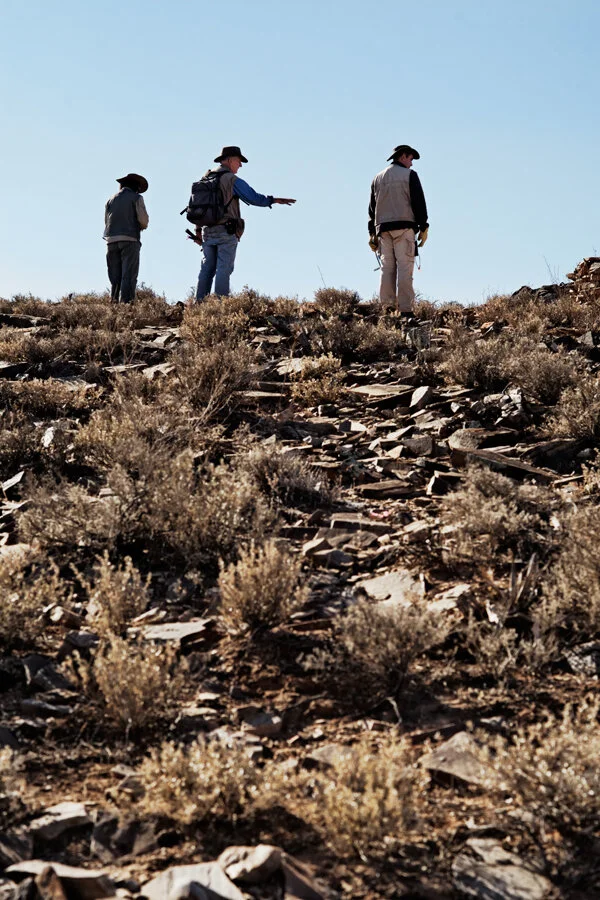 Ediacaran_M1031679_final.jpg