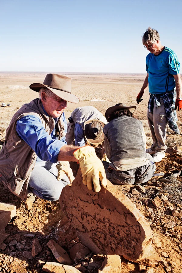 Ediacaran_M1031791_final.jpg