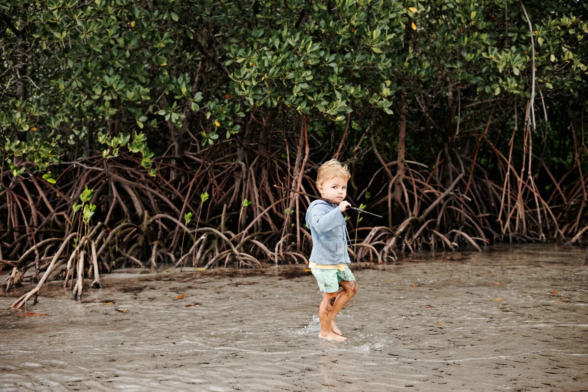 Singapore Airlines: The Daintree