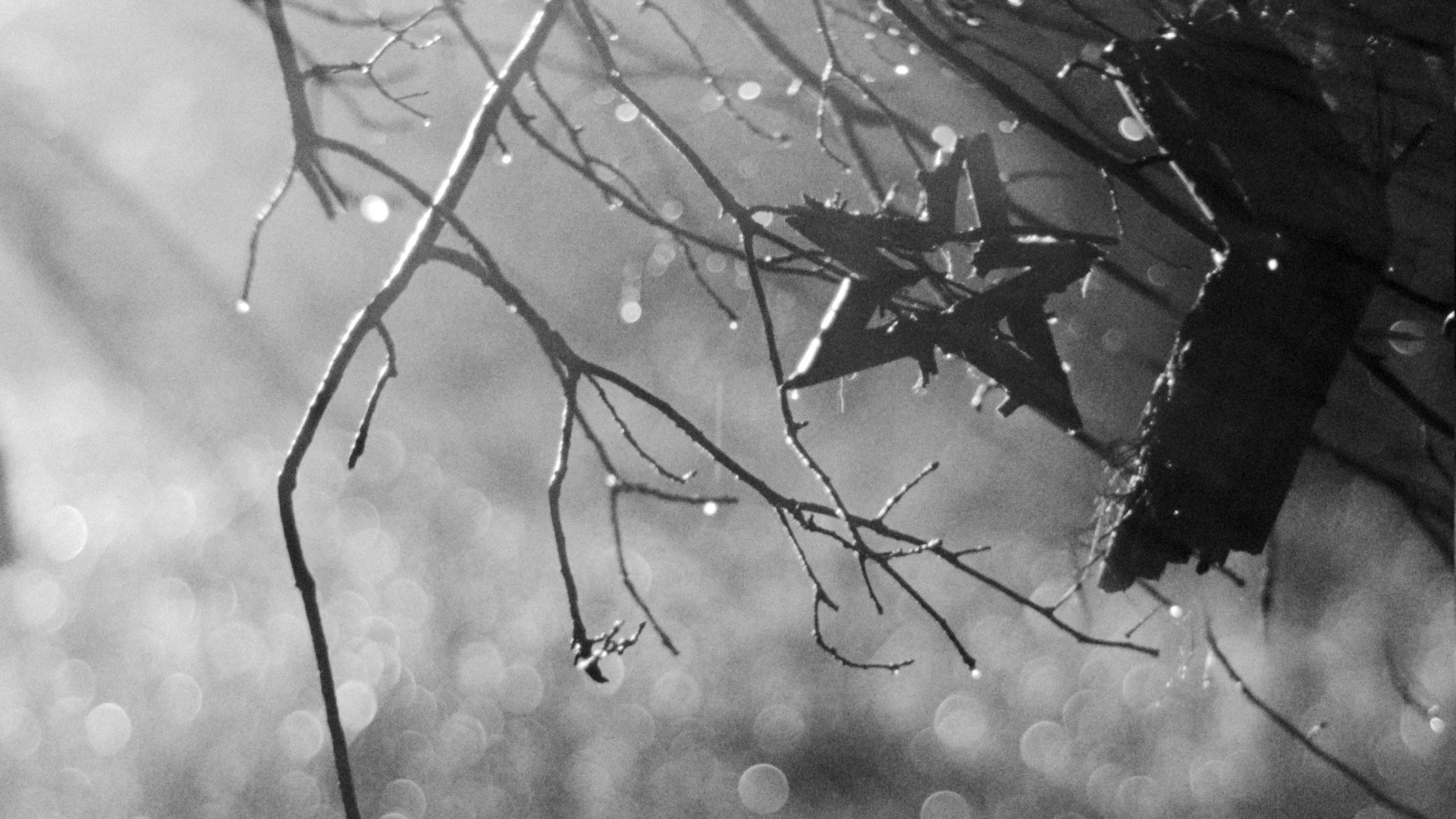 60 FINAL COLORED.00_00_10_07.Still022.jpeg