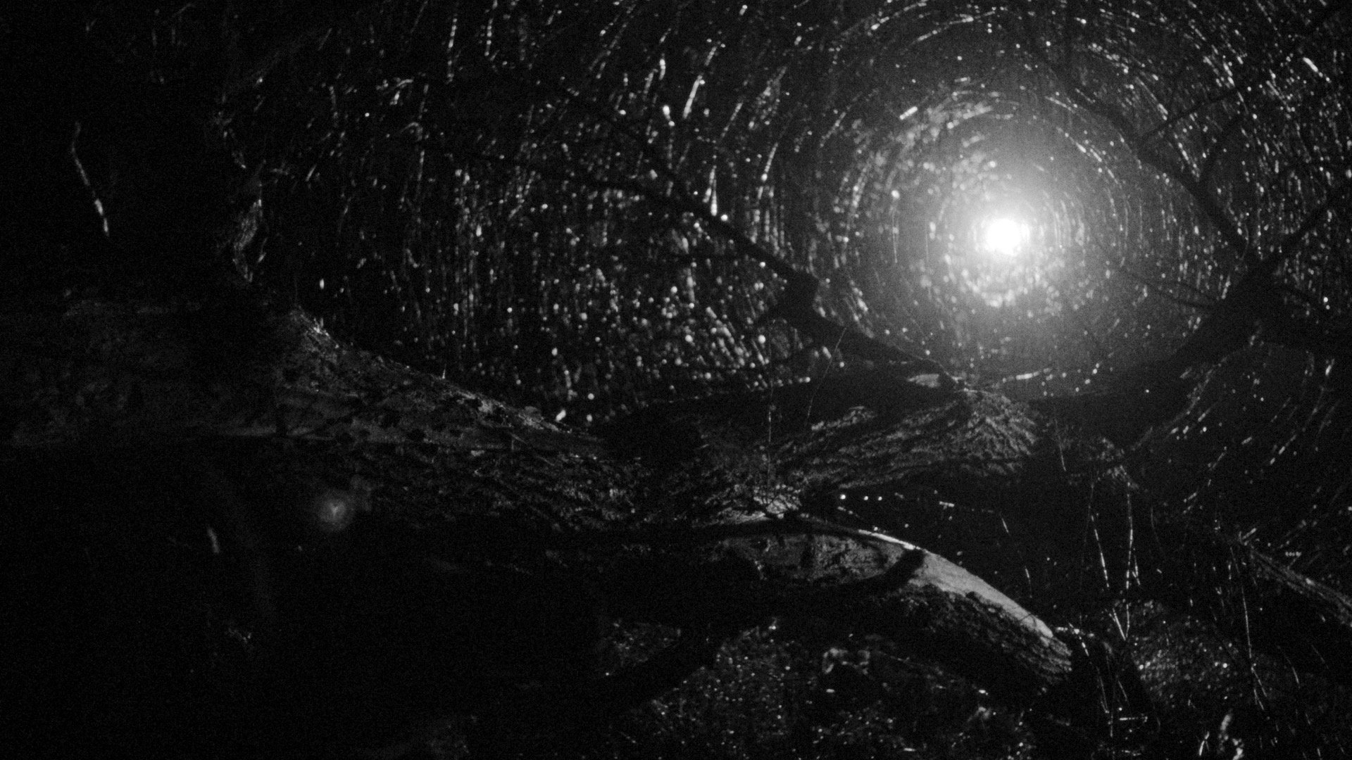 60 FINAL COLORED.00_00_12_16.Still024.jpeg