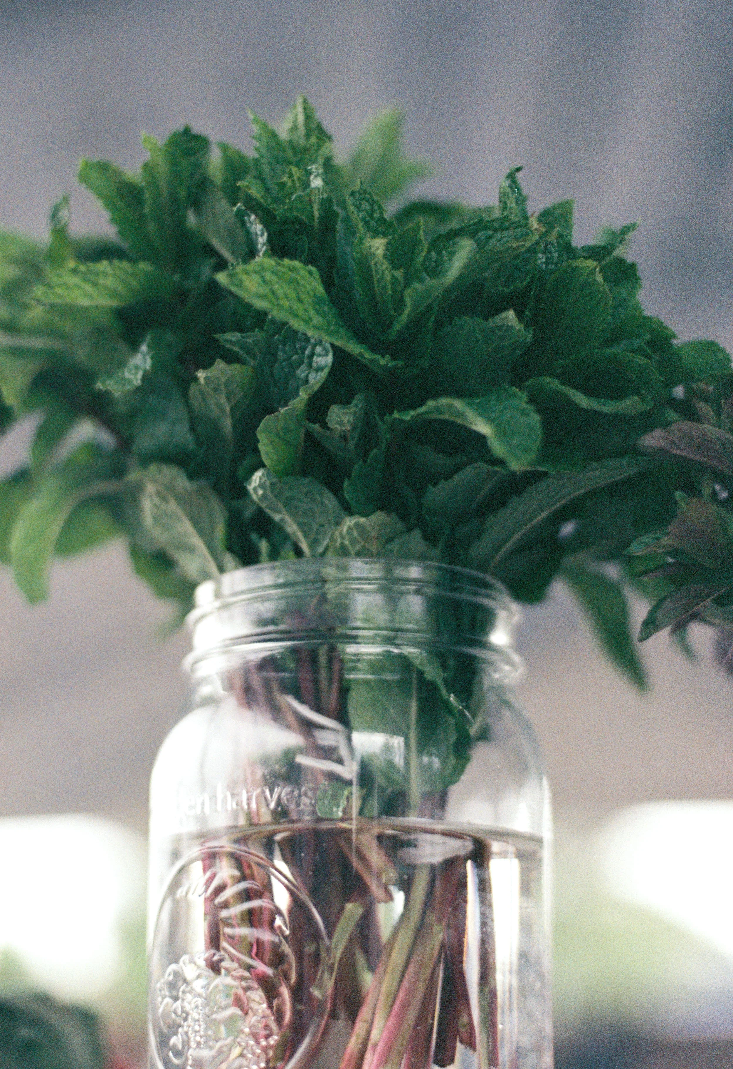 LH_5823_Fuji 400_014642-R1-E024_1.JPG