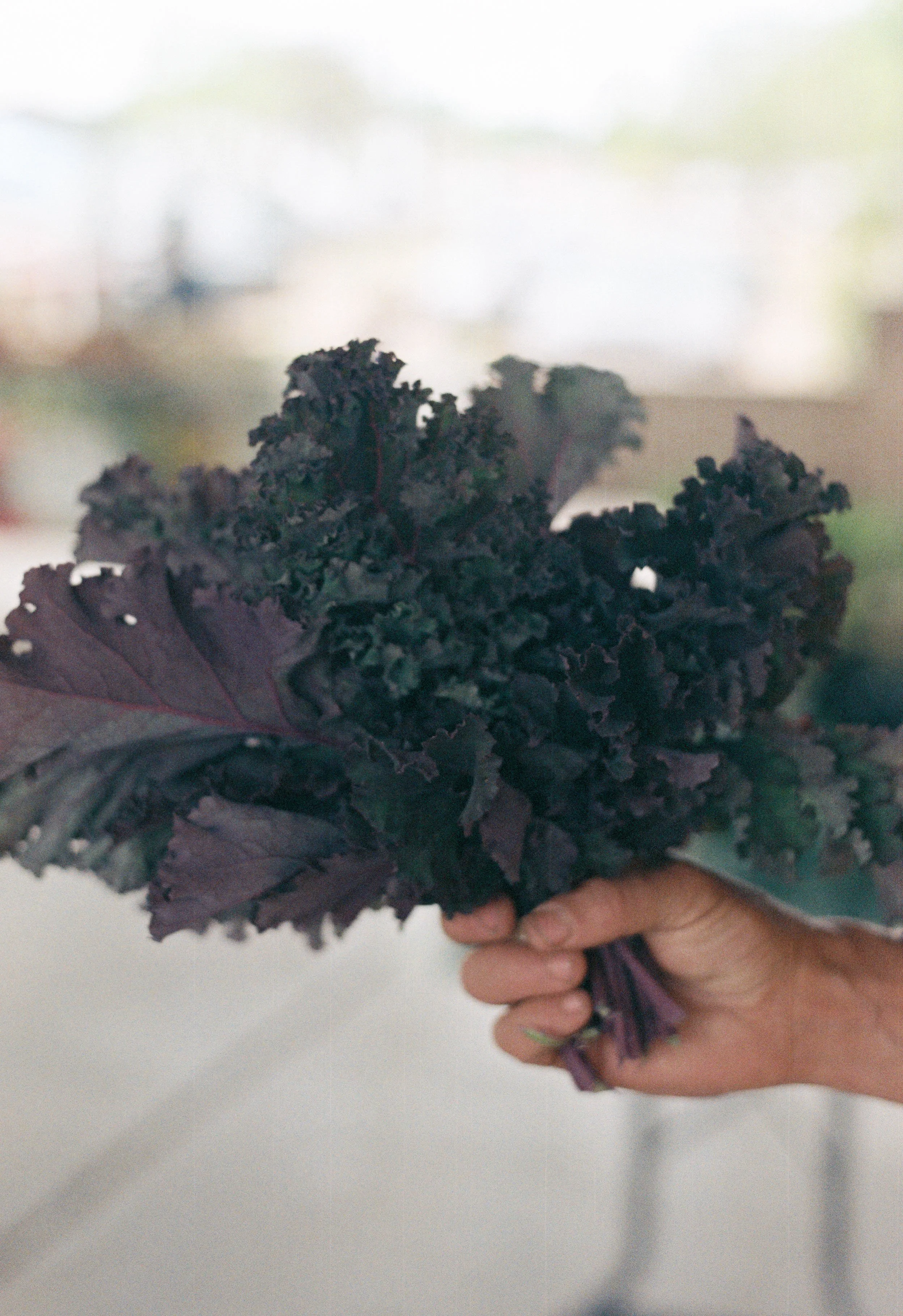 LH_5823_Fuji 400_014642-R1-E011_1.JPG