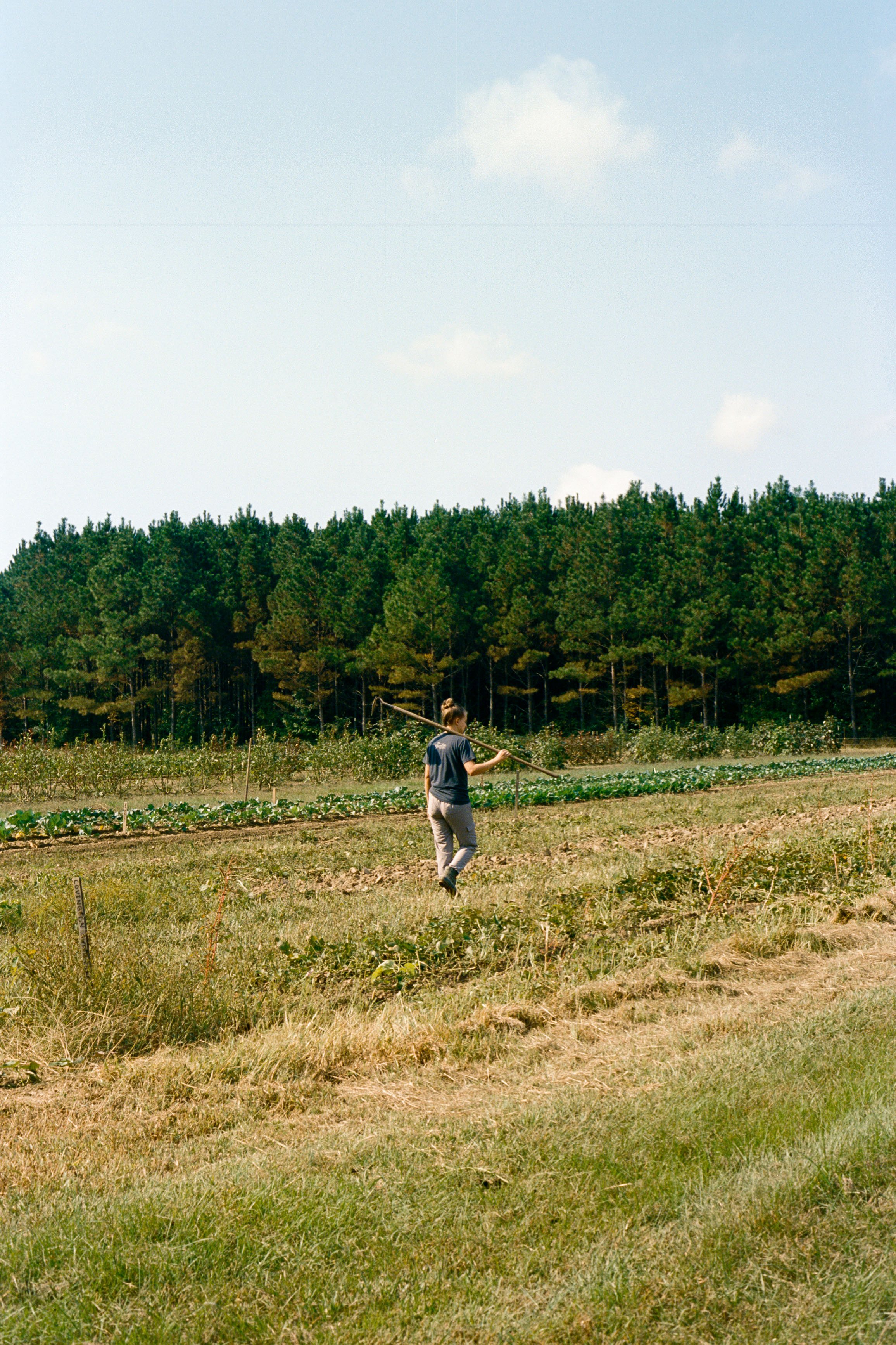 Healy 409-S1-0007.JPG