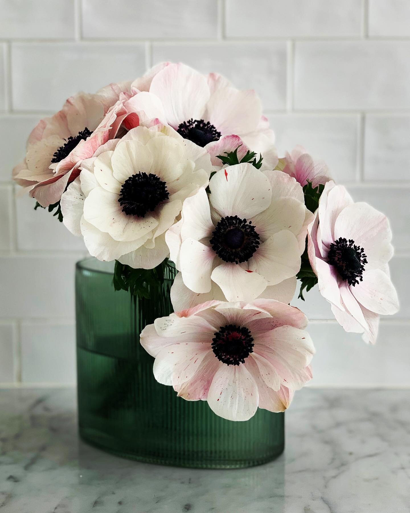 Absolute beauties.
Anemones, difficult to say, easy on the eye. 
Thank you @flowerplay_  for always being on brief xx