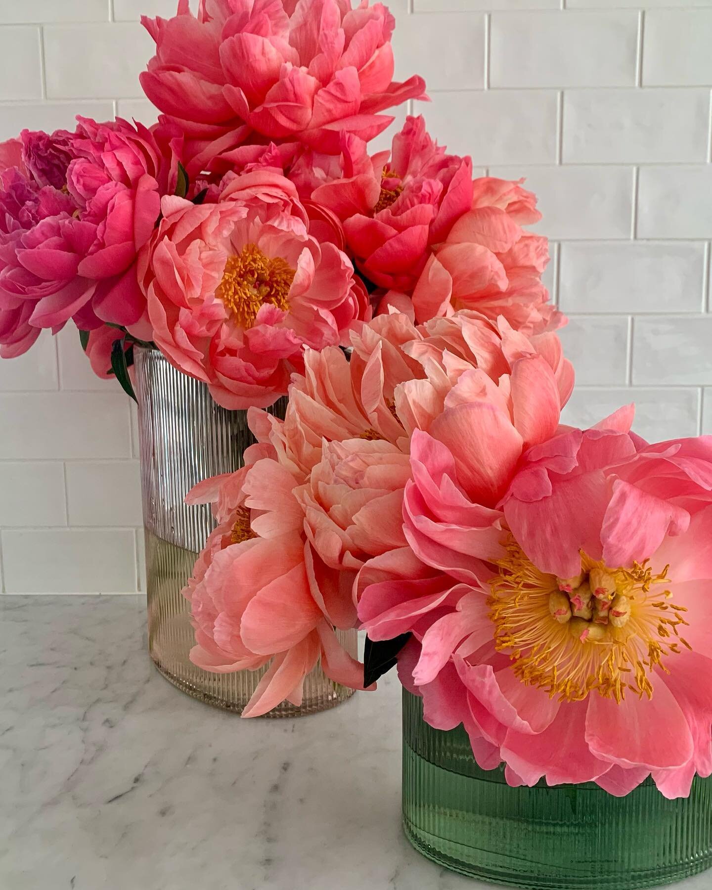 The Peony.
@leoncino_flowers