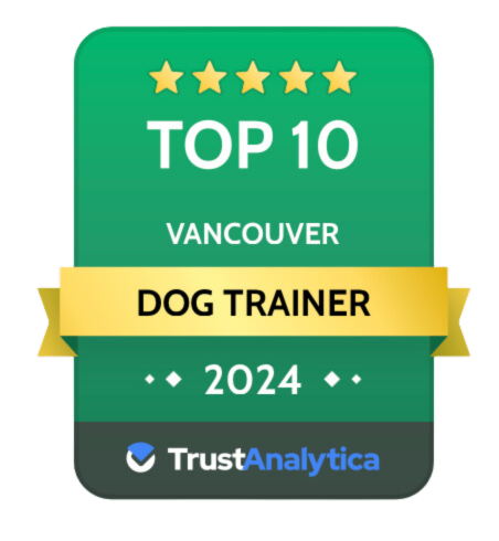 TrustAnalytica Top 10 Badge