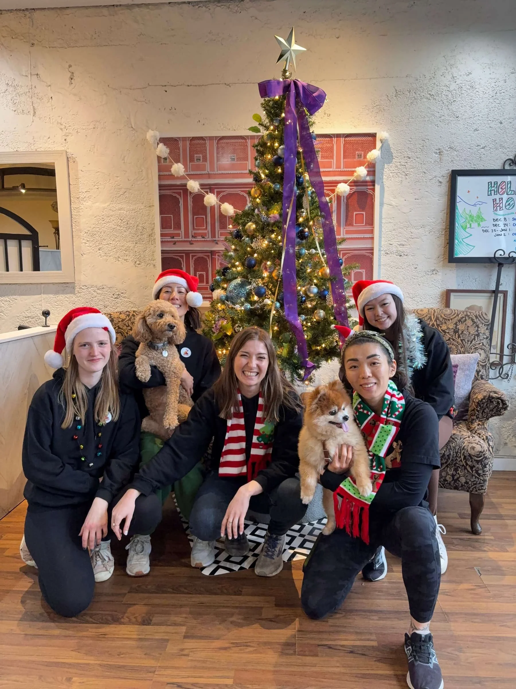 Five Raintown Dog Training team members sit in front of a Christmas tree, two hugging dogs and several in Santa hats, at the Raintown Christmas workshop.