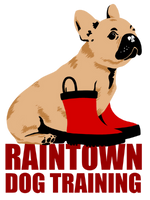 Raintown Dog Training