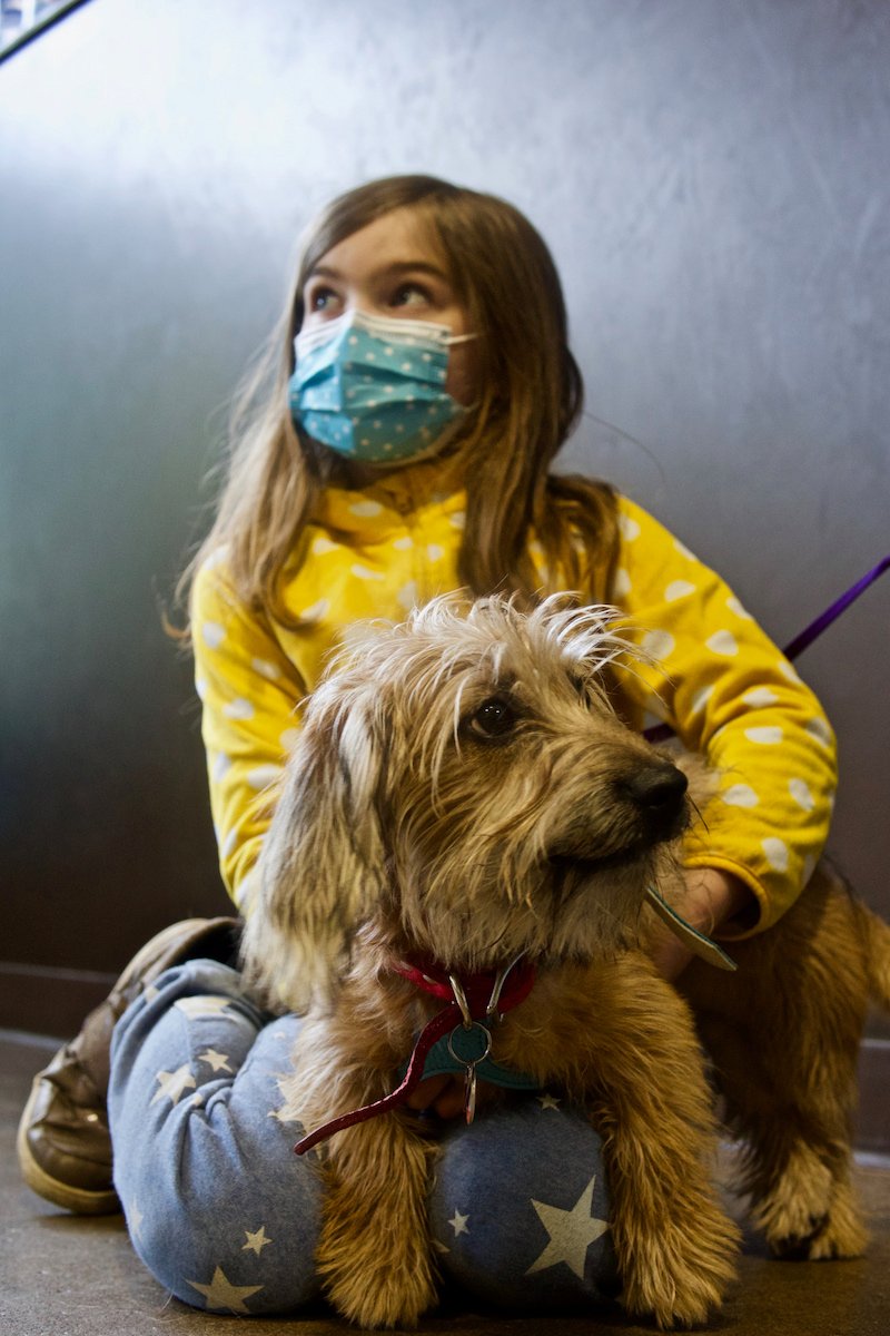 Kids and Dogs: 3 Don’ts