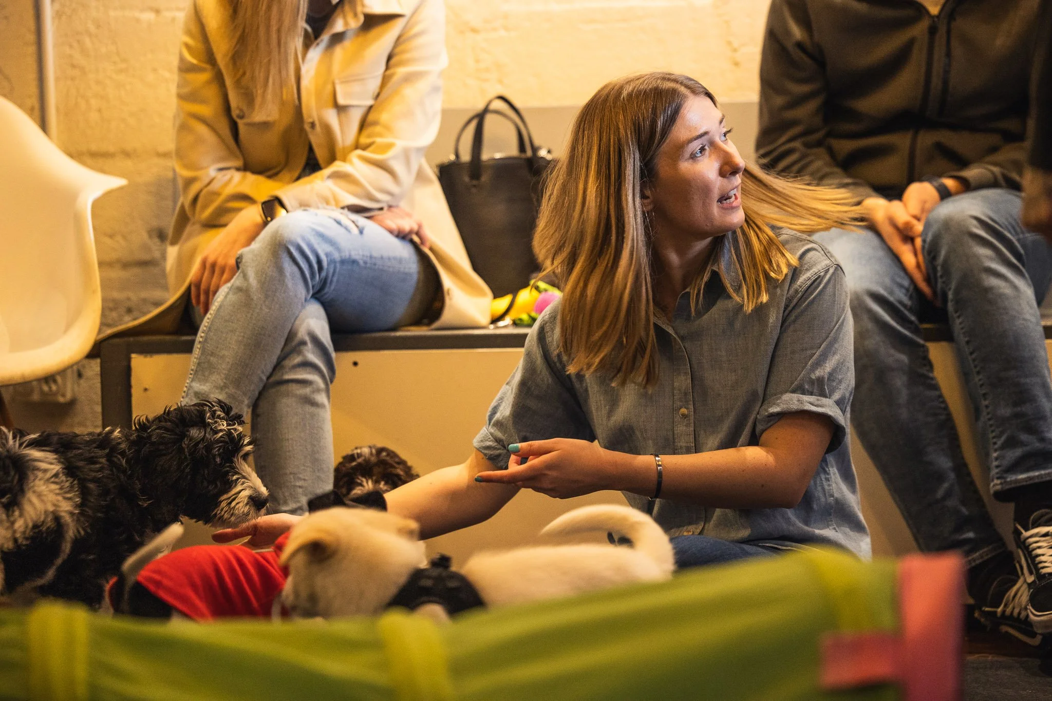 Kris, Raintown's head dog trainer, teaching body language to a class of puppy parents while two puppies play nearby in a tunnel