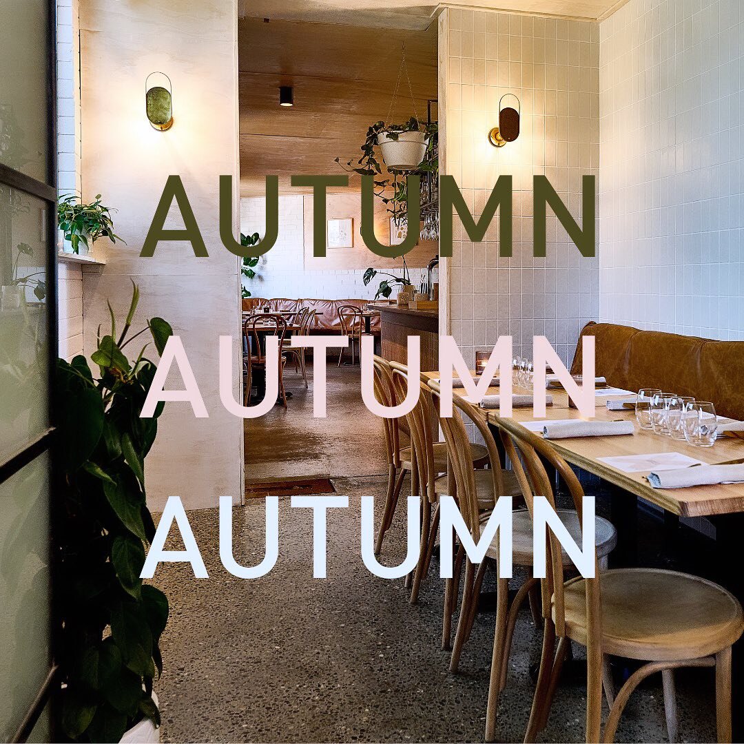 AUTUMN MENU ONE IS HERE 🍂
LIVE THURSDAY 7/3
SEE YOU SOON