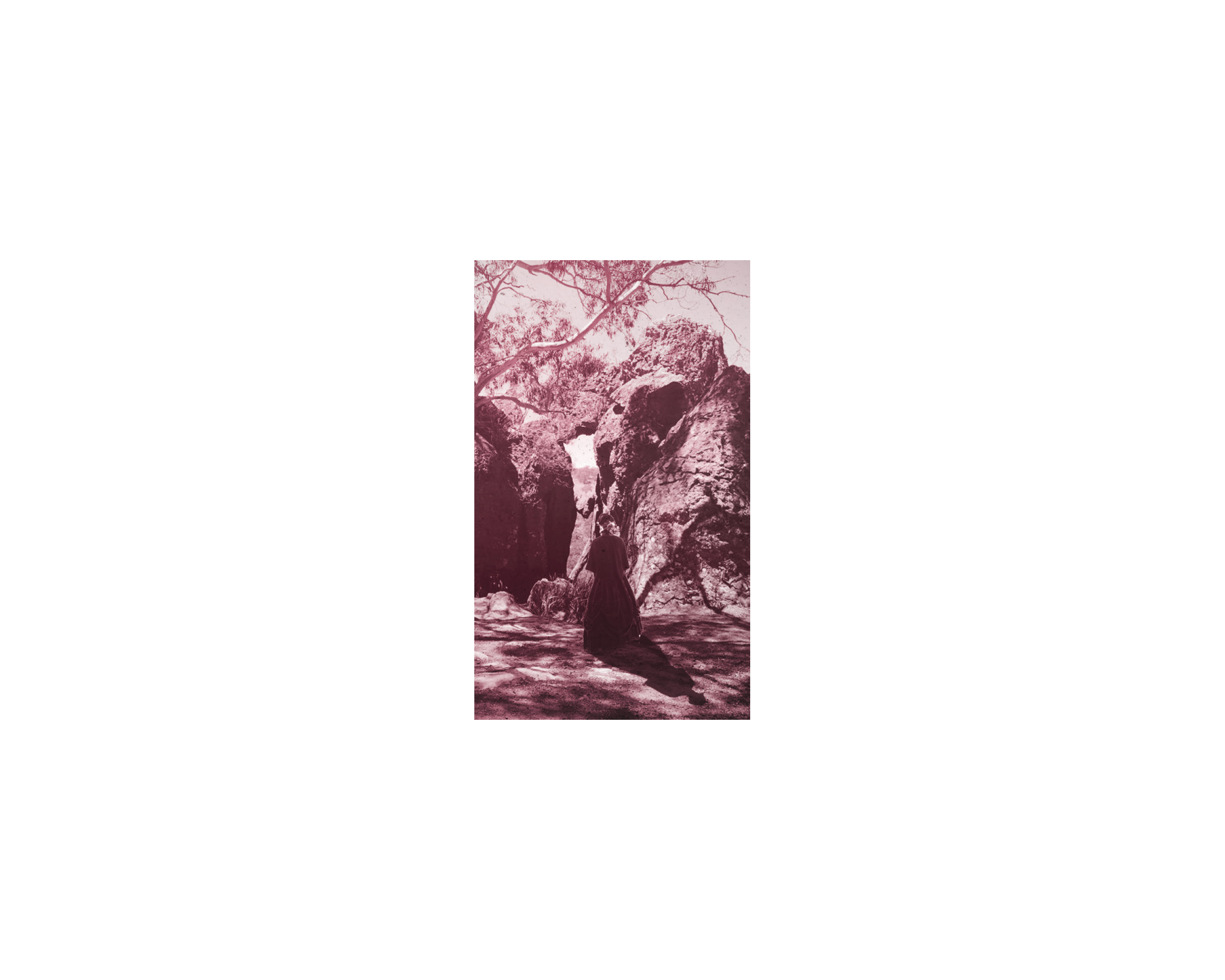 Web_Picnic Overlay.png