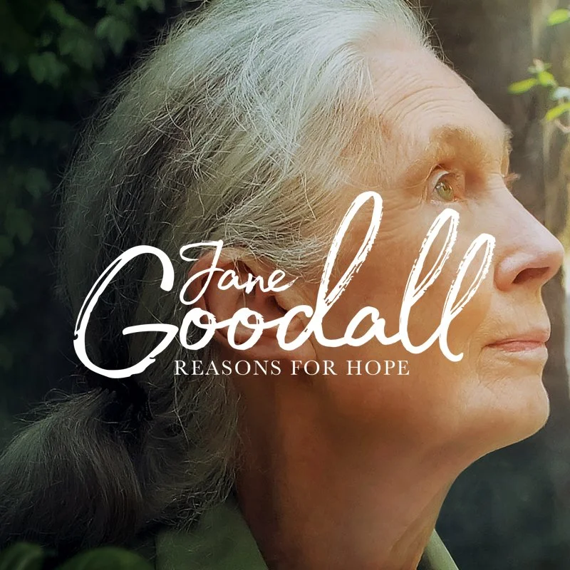 Jane Goodall RFH