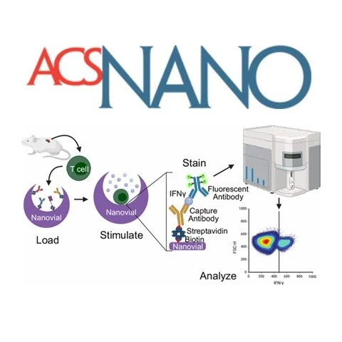 Specific Stimulation and Multiplex Secretion Analysis of T Cells Using a Suspendable Hydrogel Platform Enables Immunophenotyping at the Single-Cell Scale