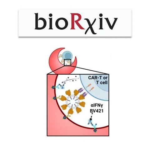 Functionalizing hydrogel nanovials with vesicles mimicking antigen-presenting vesicles and cancer exosomes improves T cell capture and activation